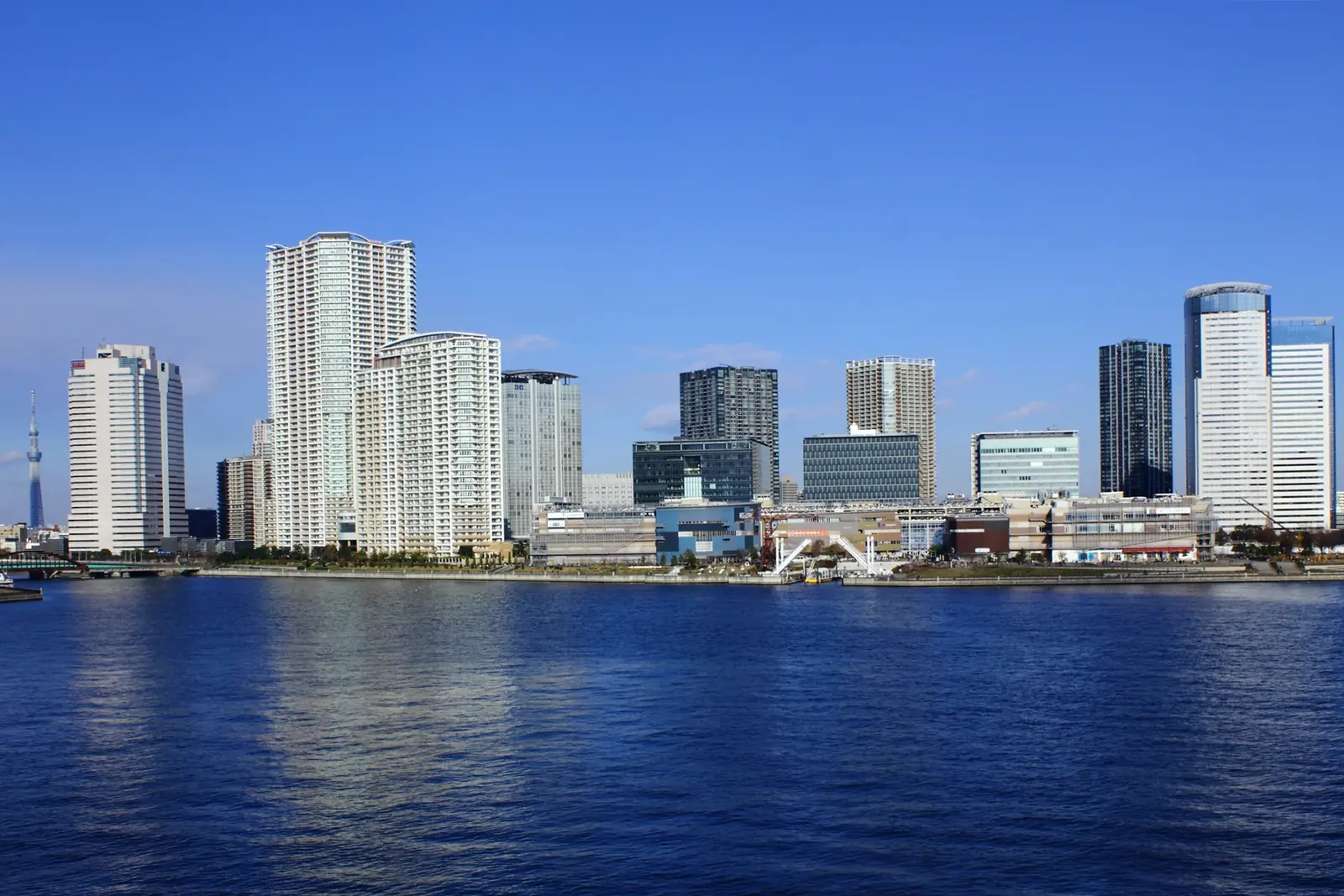 Berrak bir günde, Harumi Köprüsü'nden görünen, koyu mavi suyun karşısındaki Toyosu kıyısında yer alan apartman ve ofis kuleleri; müzeye değil, bölgeye ait genel bir fotoğraf